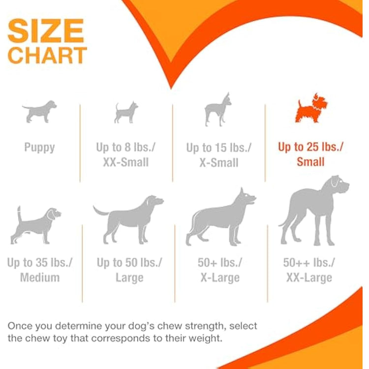 Nylabone Puppy Dog Teething Colour Change Freezer Bone Dog Chew Toy, Lamb & Apple Flavour, Small, for Puppies Up to 11 kg