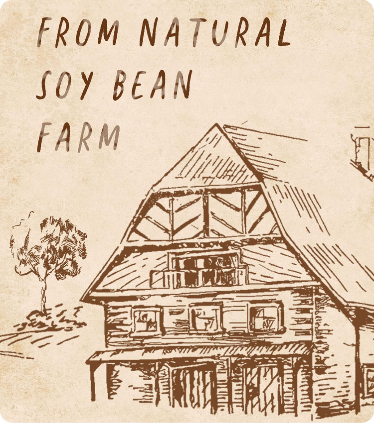 Soy Wax, BOYUJK Premium Natural Candle Wax, 100% Soy Wax for Candle Making from Organic Farm, No additives, Harmless and Pure (4KG)
