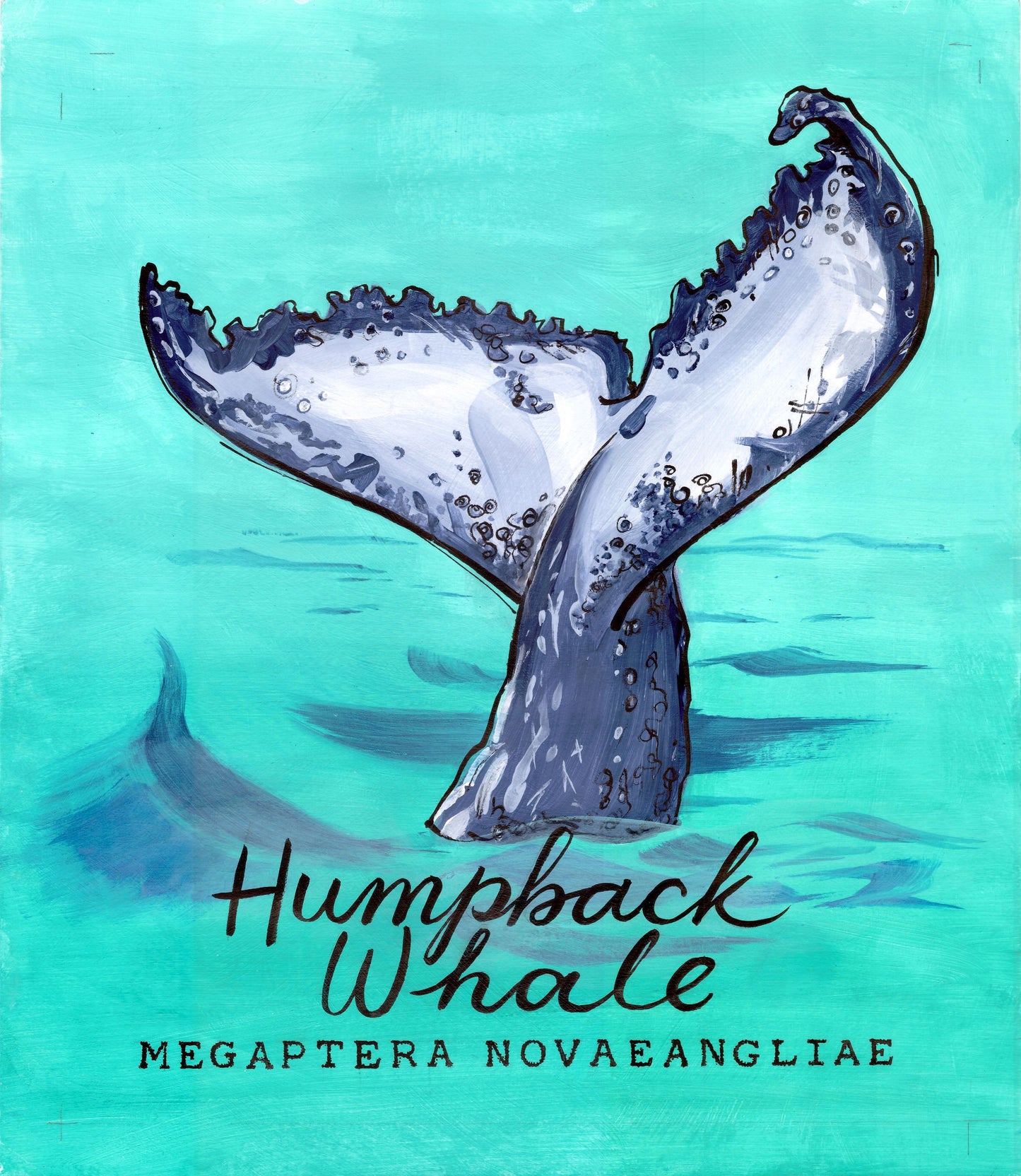 Humpback Whale - Cornish Sea Life series - Giclée Print