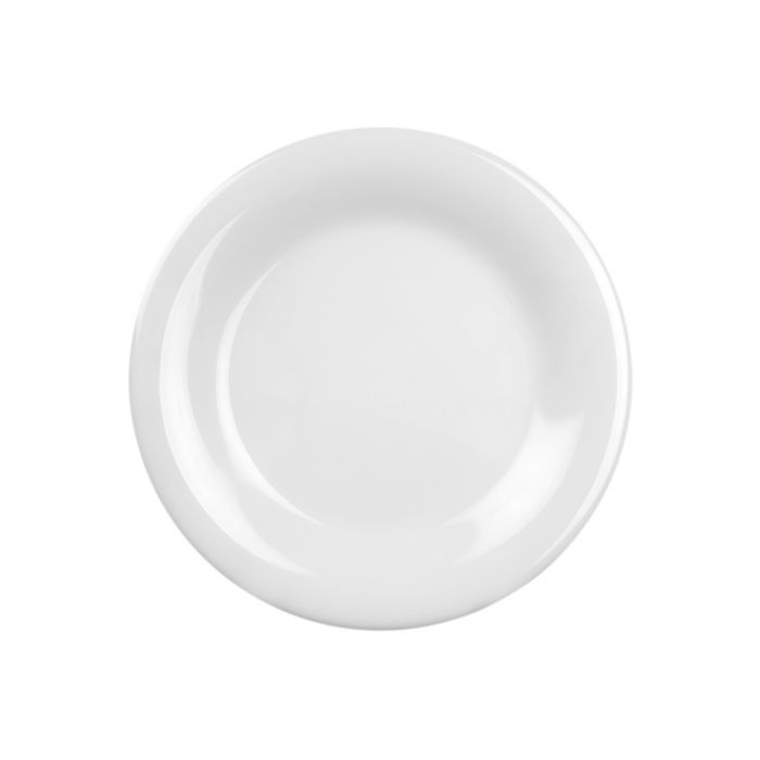 Wide Rim Melamine Plates -12 Case