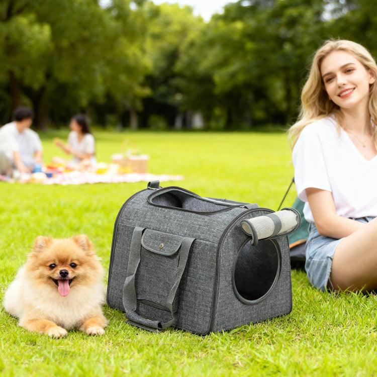 PawHut Soft Sided Cat Carrier Bag, Portable Foldable Pet Carrier with Shoulder Strap & Removable Mat for Small Pet Up to 10kg