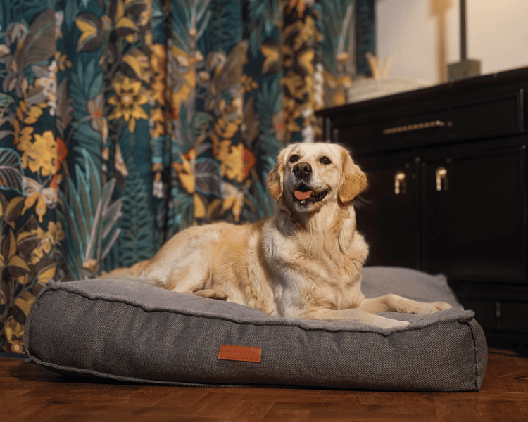 THE BALMORAL | LUXURY PILLOW BED