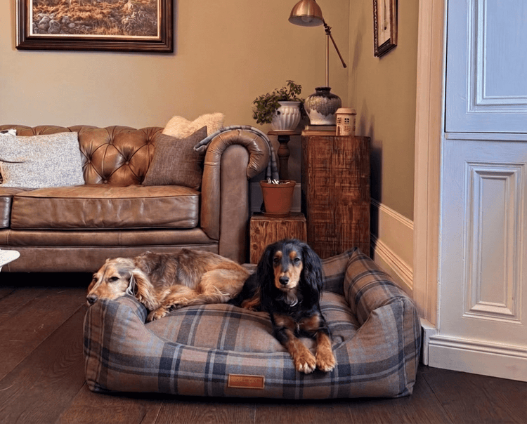 THE MARLOW | LUXURY TARTAN BED