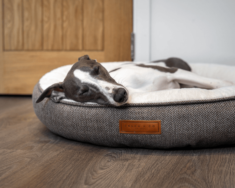 THE LINCOLN | LUXURY DONUT BED