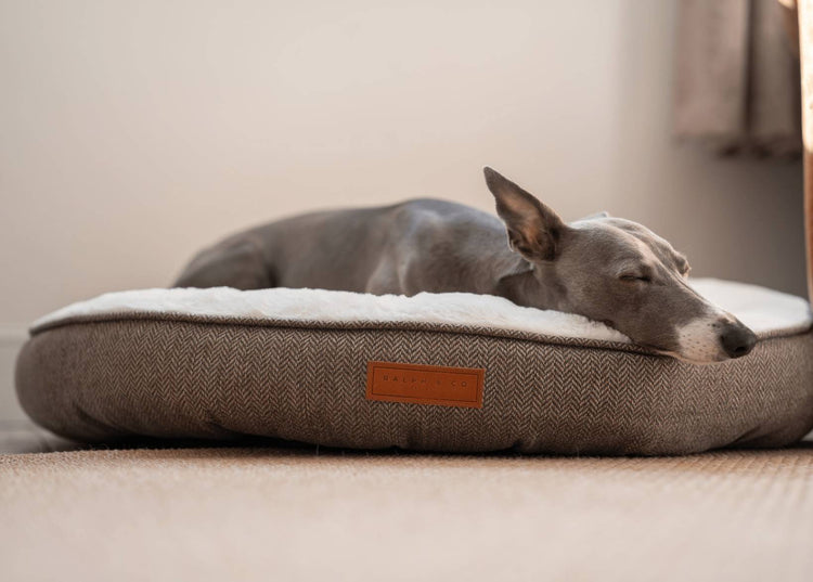 THE LINCOLN | LUXURY DONUT BED