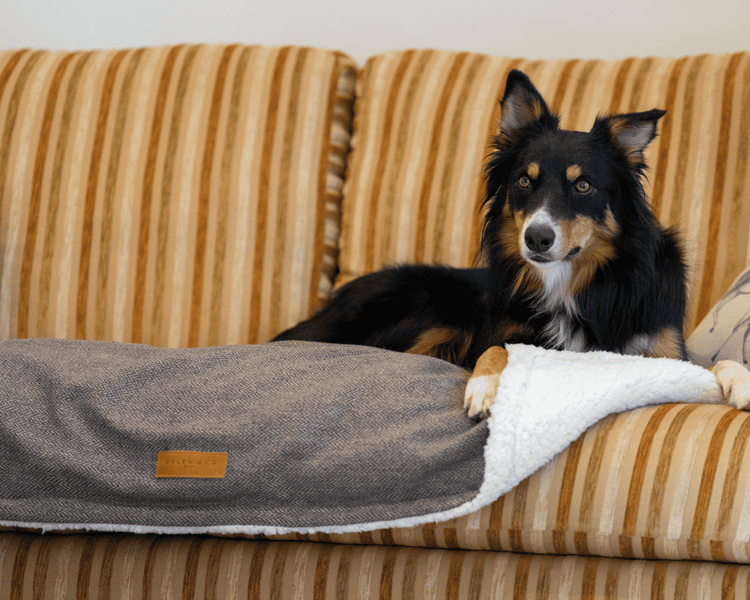 THE LINCOLN | LUXURY PILLOW BED