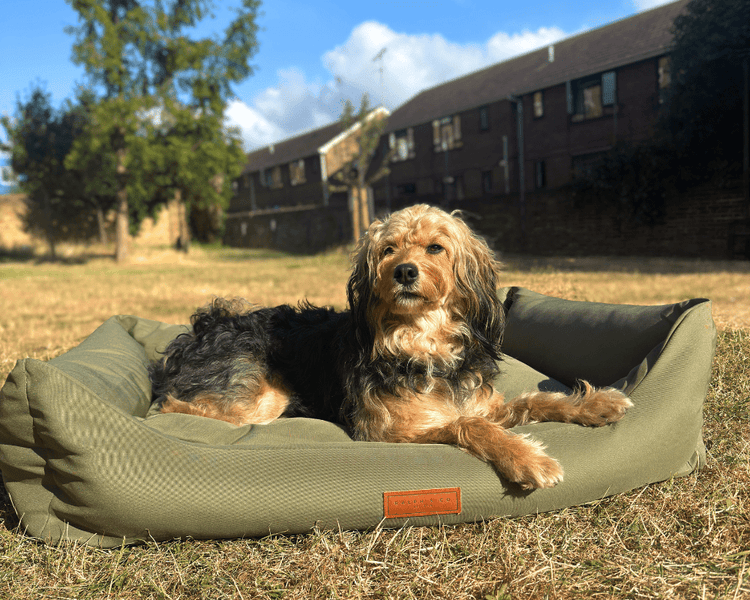 THE HENLEY | LUXURY WATERPROOF BED