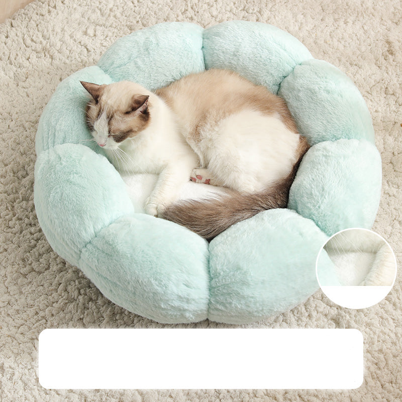 Cat and dog pet nest