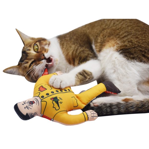 Bite-resistant Vocal Canvas Dog Toy
