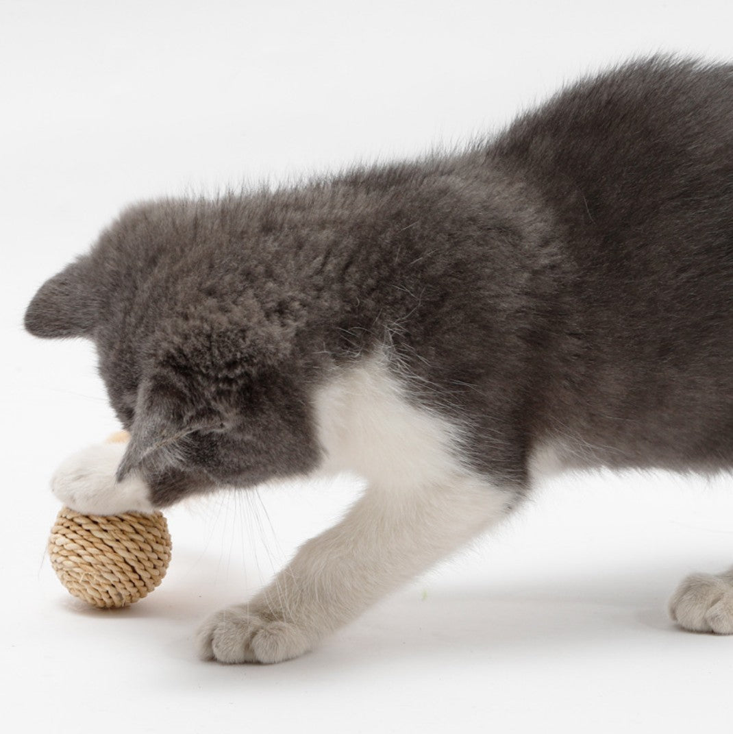 Rattan Bell Ball Feather Sepak Takraw Funny Cat Toy
