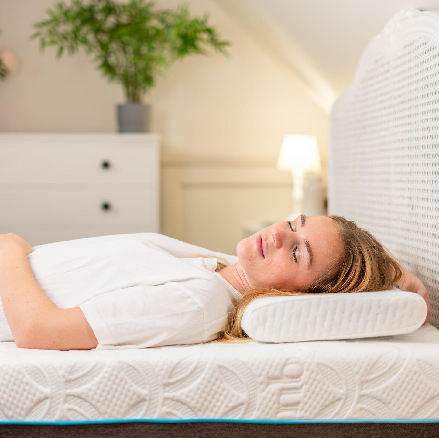 The Bamboo Skinny Pillow