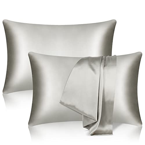 tenn well 2 Pack Mulberry Silk Pillowcase for Hair and Skin, Both Sides 100% Pure Silk Pillowcase 19 Momme Soft Smooth Pillow Case with Hidden Zipper