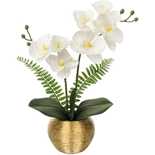 Briful Artificial White Orchid Plant in Gold Ceramic Pot, 12-Inch