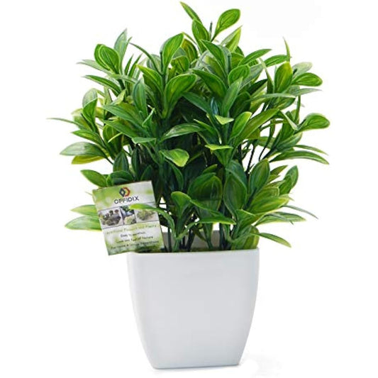 OFFIDIX Artificial Plants Mini Plastic Eucalyptus with Square Vase for Office desk, Home Faux Plastic Plants Fake Plant with Plastic Pots for Home Decoration