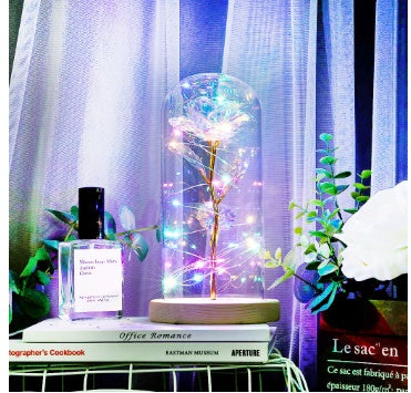Enchanted Forever Rose Flower in Glass LED Light Christmas Decoration