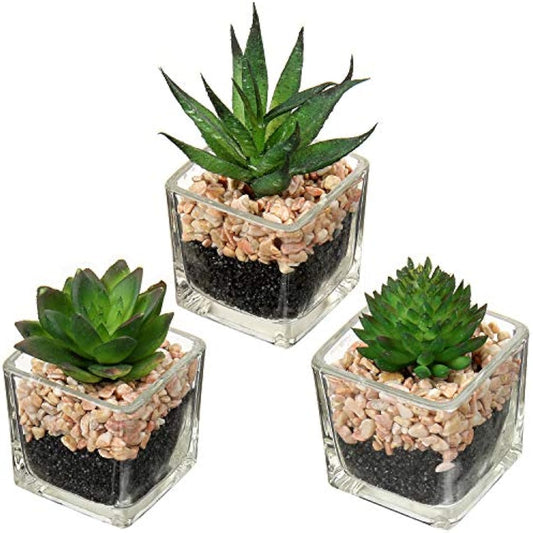 Briful Artificial Succulents Fake Succulent Plants Potted in Mini Square Clear Glass Pots Set of 3 Faux Succulents Small Artificial Succulent Plants Great for Office Home Decor