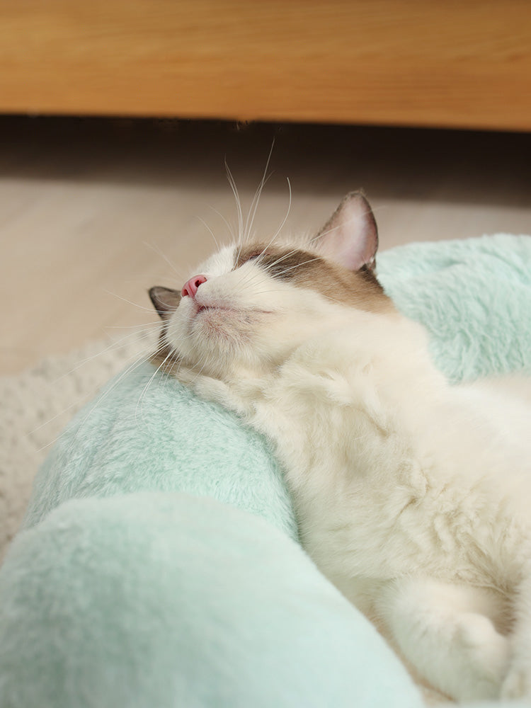 Cat and dog pet nest