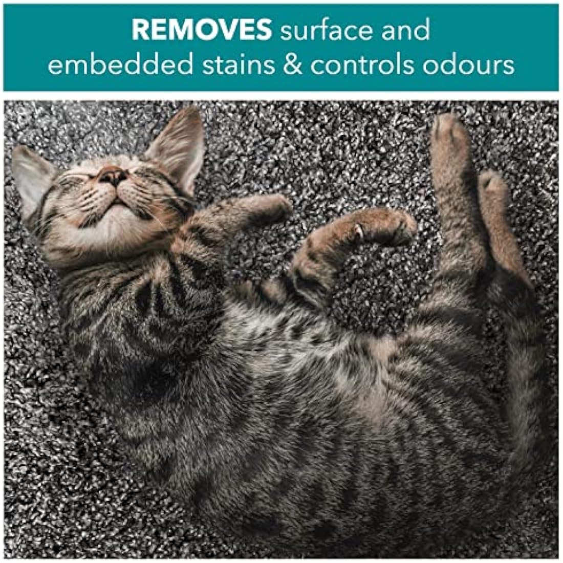 RSPCA 2 x 500ml Pet Stain and Odour Remover Wee Away | Pet Friendly | Probiotic Cleaning - Discourage From Repeat Marking
