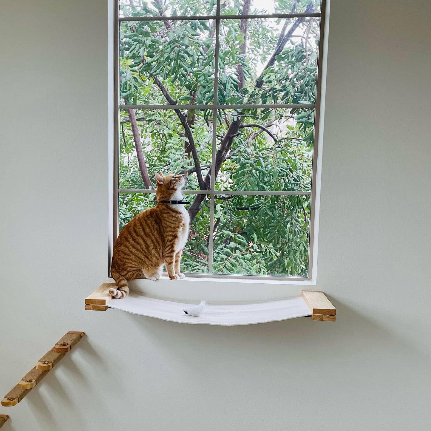 FUKUMARU Cat Wall Furniture, 91 ? 33 cm Cat Hammock for DIY Cat Shelves and Cat Wall, Natural Rubber Wood Material, for Most Kitten, Medium and Large