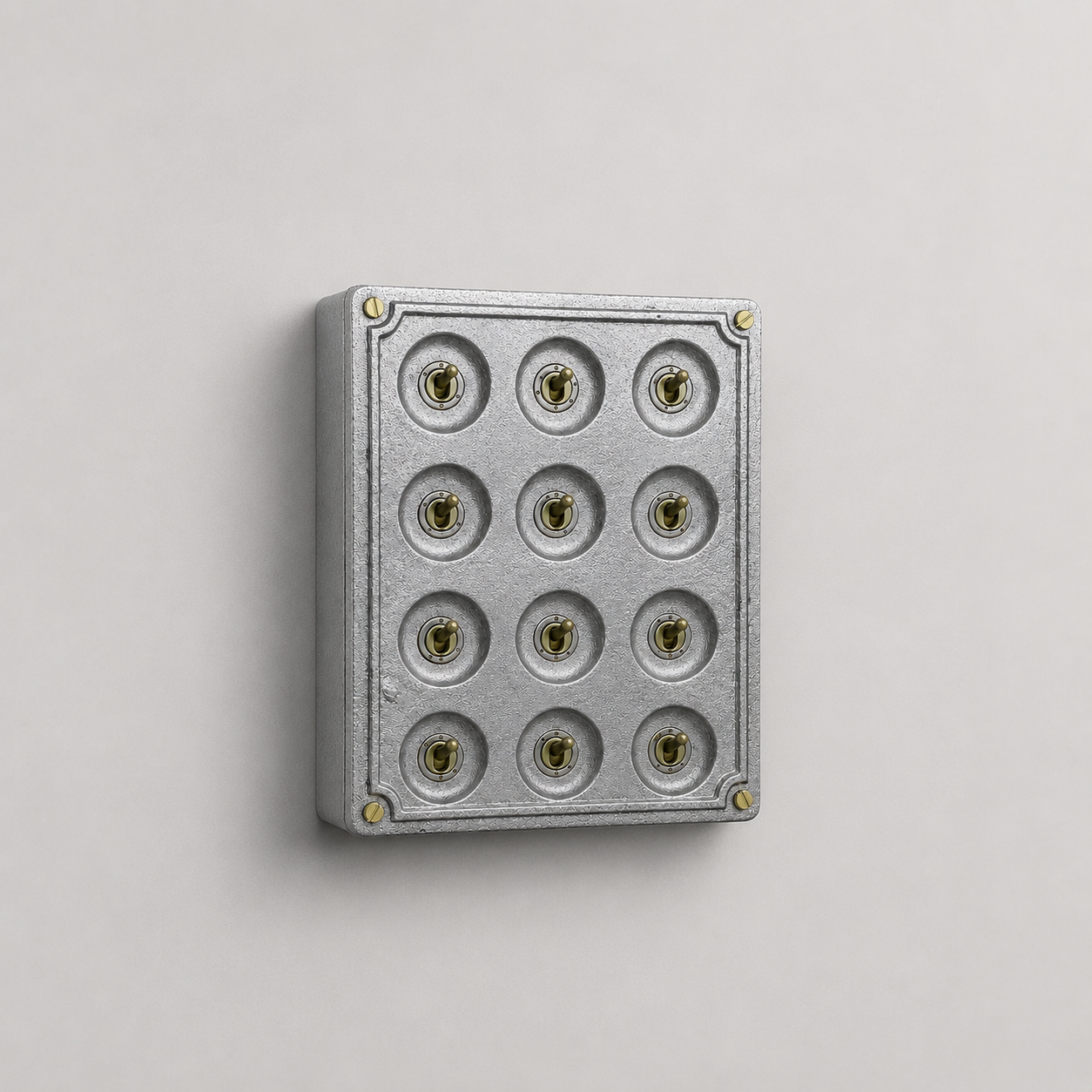 12 Gang 2 Way Solid Cast Metal Conduit Toggle Light Switch