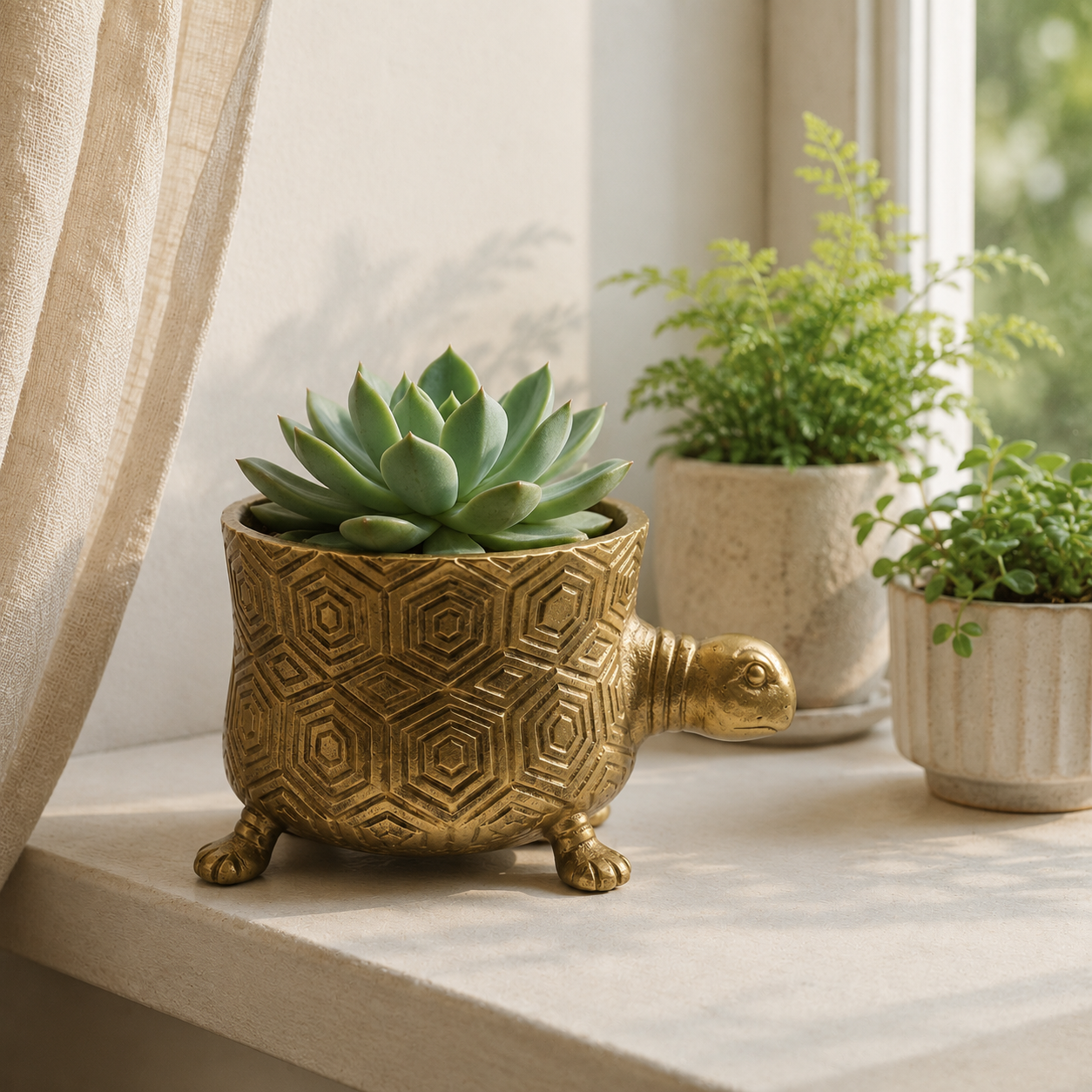 Tortoise Planter Pot | Brass Finish Indoor Succulent Holder