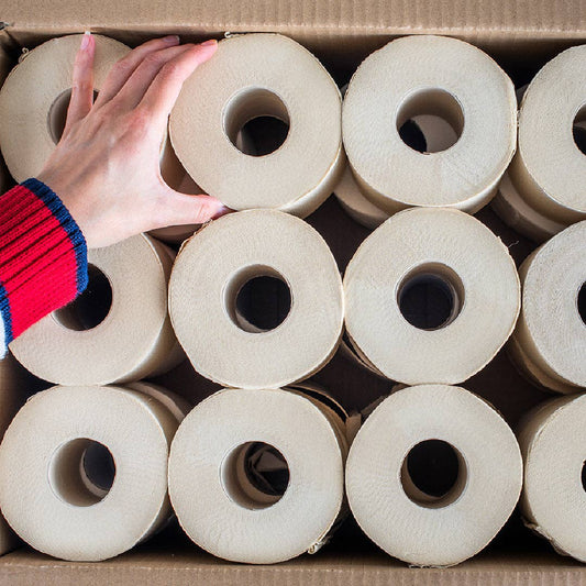 Bazoo Unbleached Bamboo Toilet Paper | 24 Rolls or 48 Rolls | 100% Bamboo, Plastic-Free