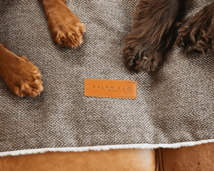 Luxury Washable Tweed Dog Blanket | Lincoln