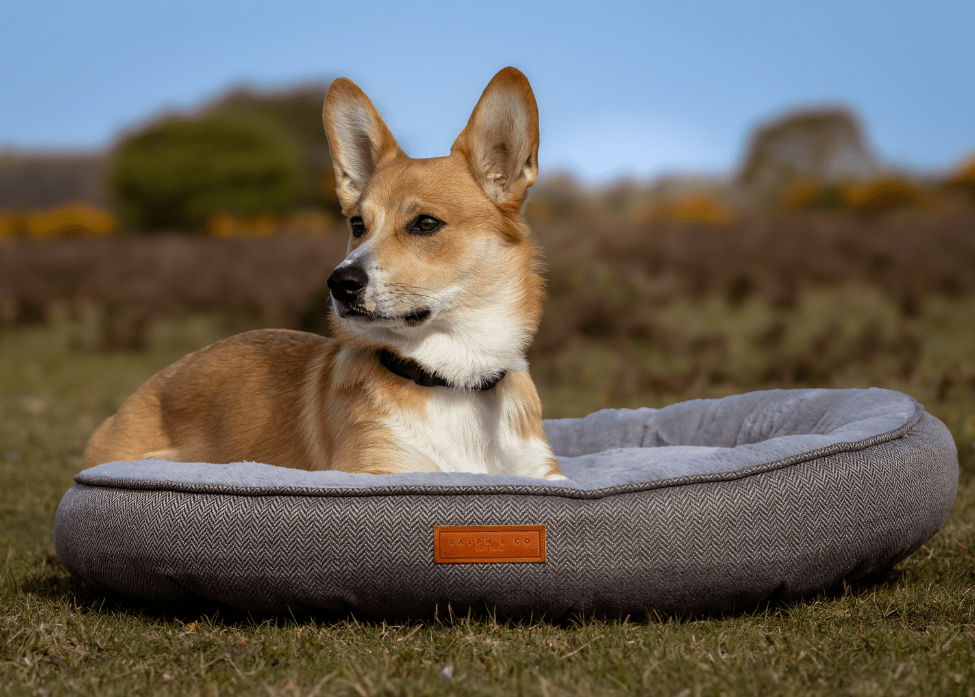 THE BALMORAL | LUXURY HERRINGBONE CALMING DONUT DOG BED