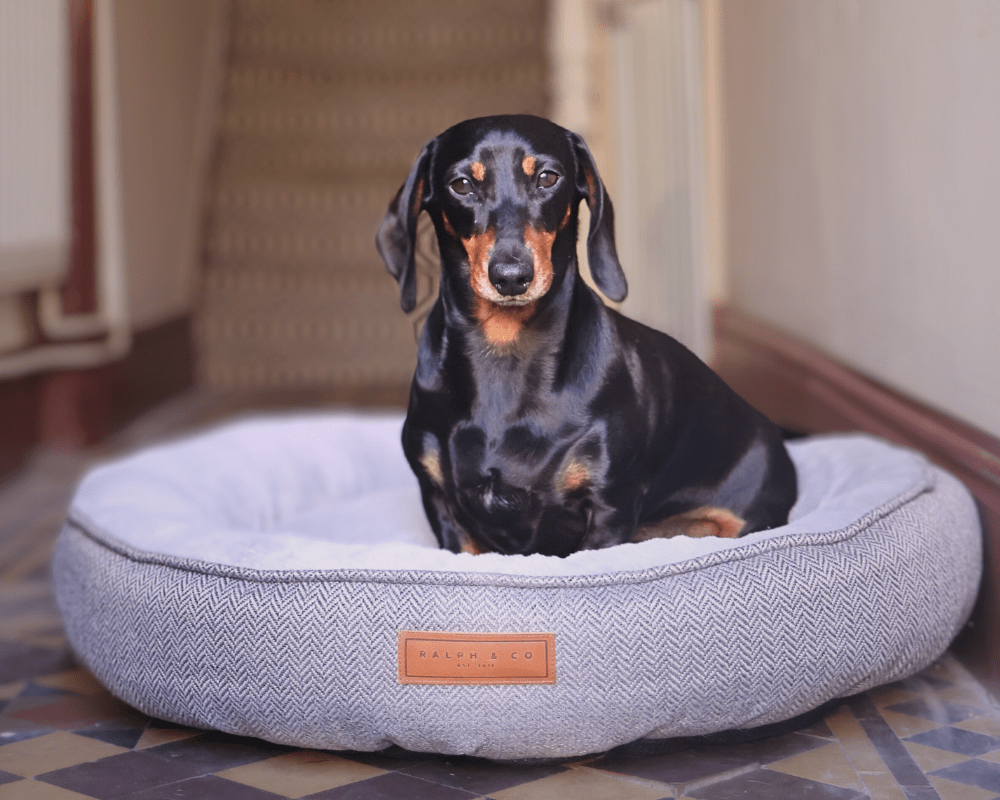 THE BALMORAL | LUXURY HERRINGBONE CALMING DONUT DOG BED