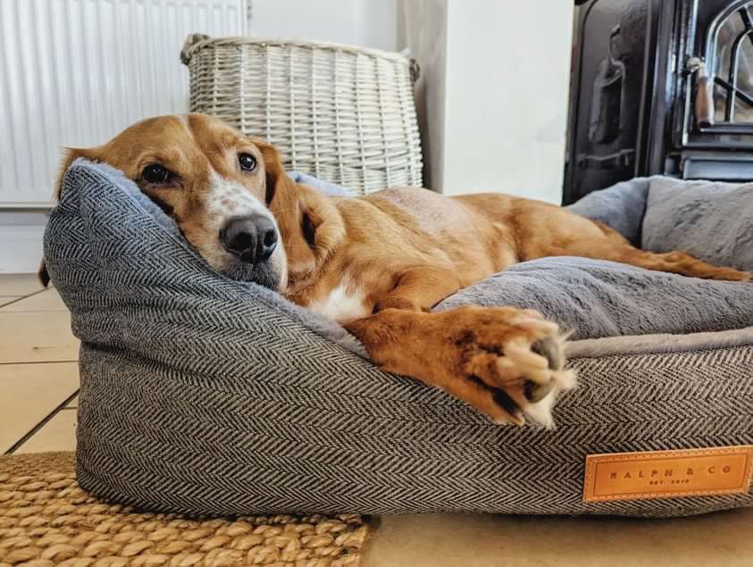 THE BALMORAL | LUXURY HERRINGBONE BOLSTER DOG BED