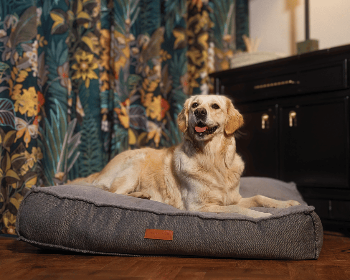 THE BALMORAL | LUXURY HERRINGBONE FLAT PILLOW DOG BED