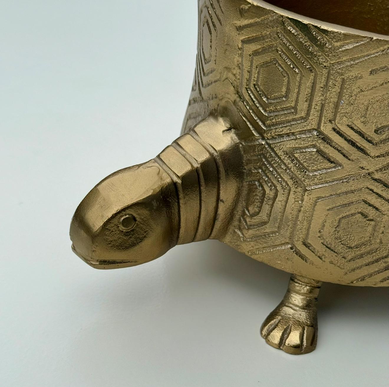 Tortoise Planter Pot | Brass Finish Indoor Succulent Holder