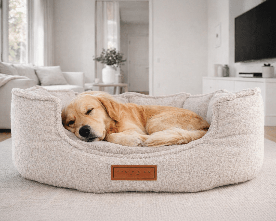 THE COTSWOLD | LUXURY HIGH WALL BOUCLE DOG BED