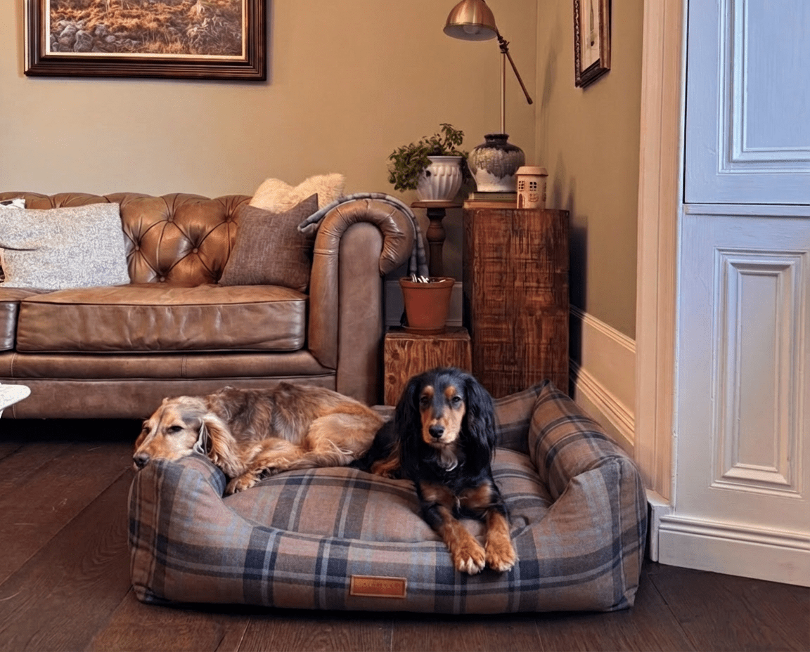 THE MARLOW | LUXURY TARTAN BOLSTER DOG BED