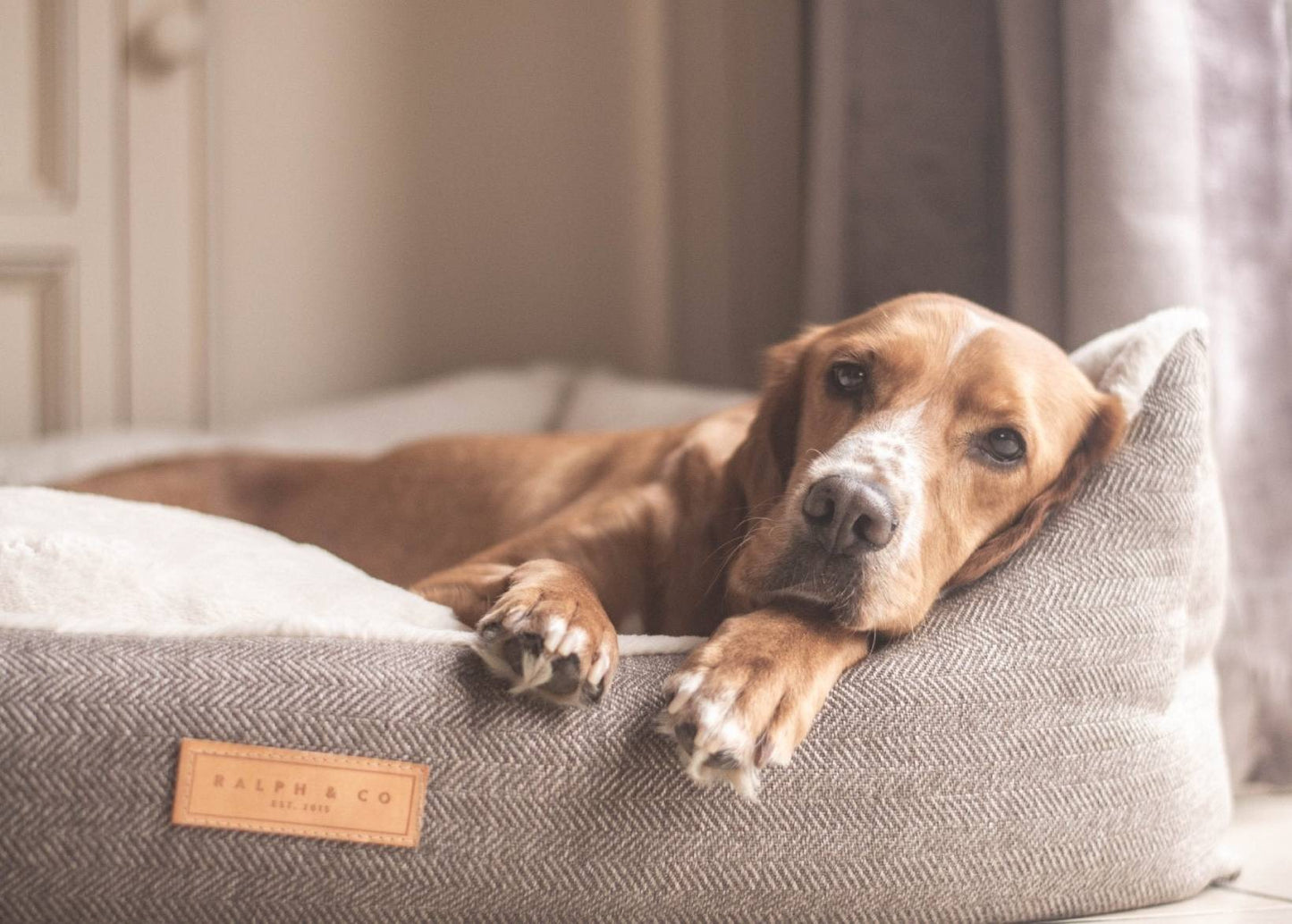 THE LINCOLN | LUXURY TWEED BOLSTER DOG BED