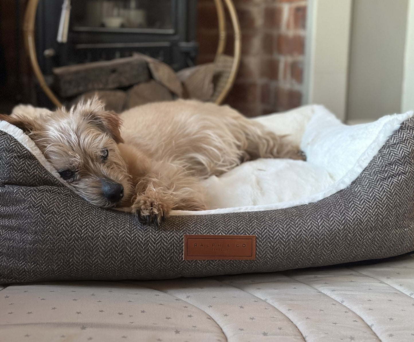 THE LINCOLN | LUXURY TWEED BOLSTER DOG BED