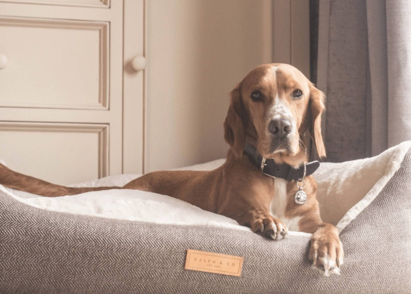 THE LINCOLN | LUXURY TWEED BOLSTER DOG BED