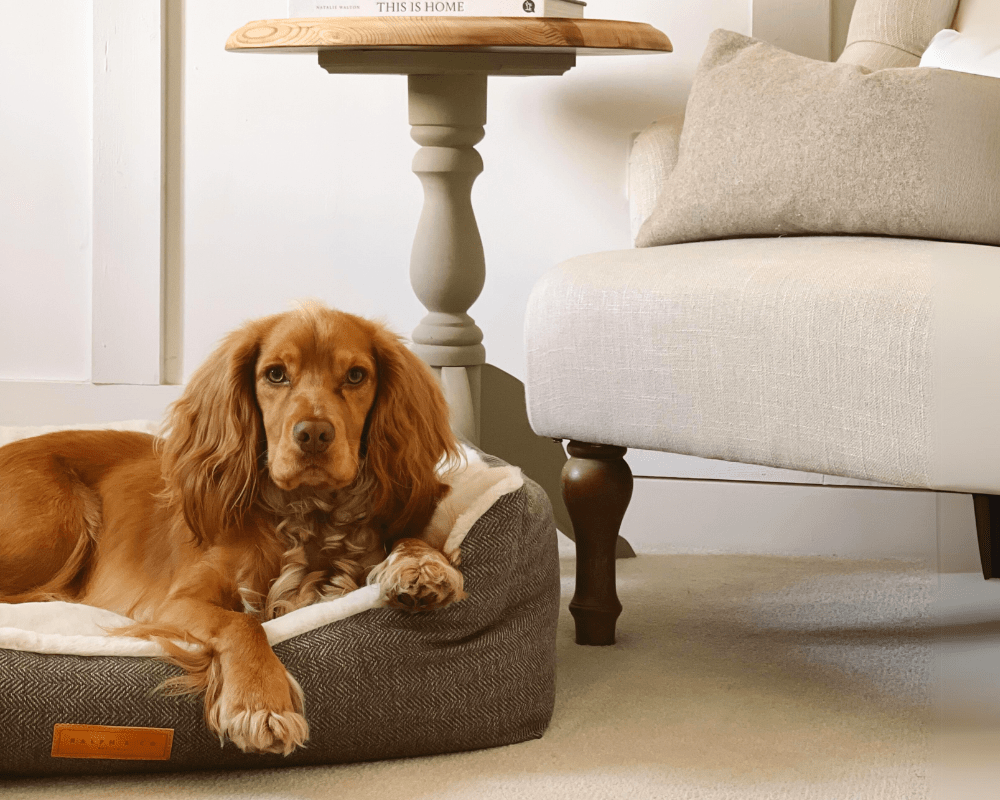 THE LINCOLN | LUXURY TWEED BOLSTER DOG BED