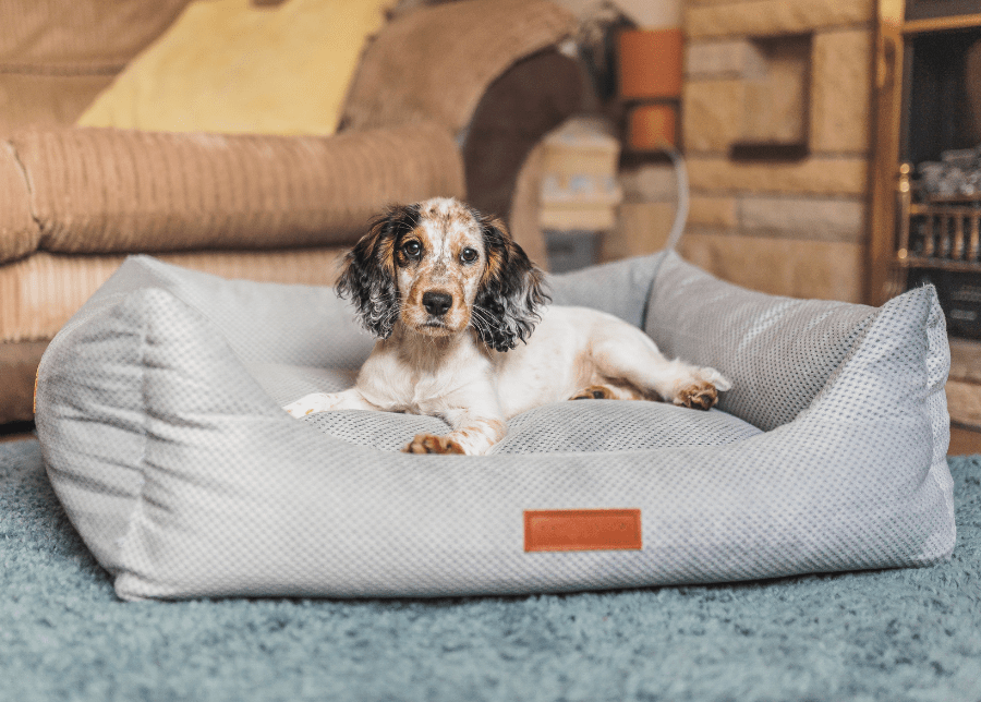 THE HIGHCLERE | LUXURY MEMORY FOAM BOLSTER DOG BED