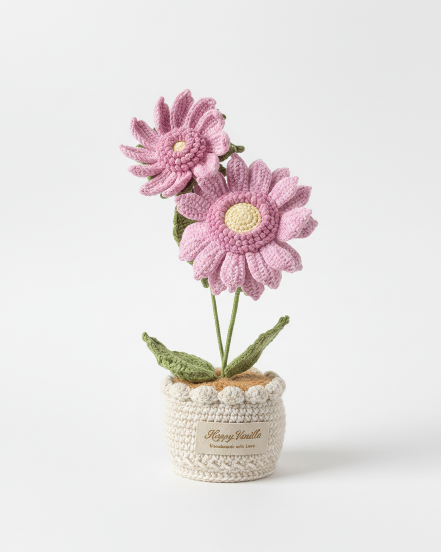 Dawn's Eye Daisies