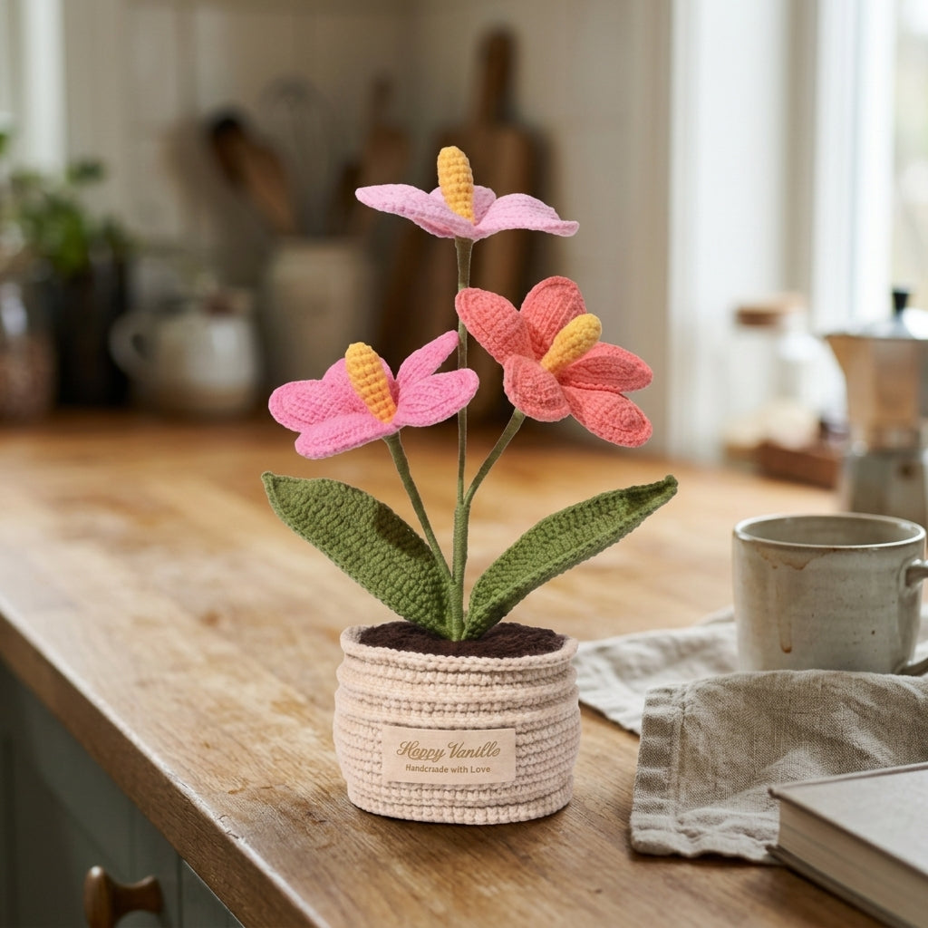 The Flamingo Heart Anthurium