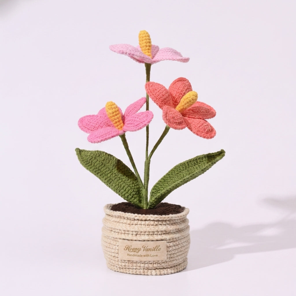 The Flamingo Heart Anthurium