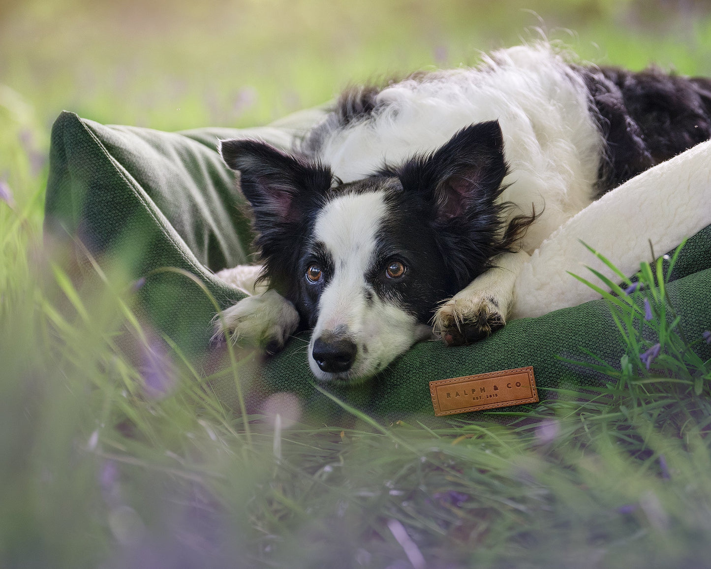 THE RICHMOND | LUXURY GREEN BOLSTER DOG BED
