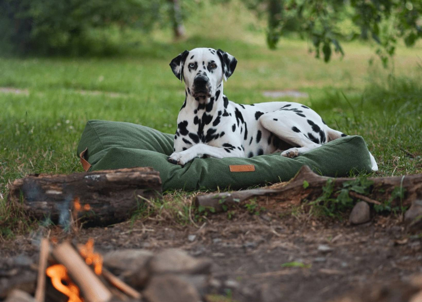 THE RICHMOND | LUXURY GREEN FLAT PILLOW DOG BED