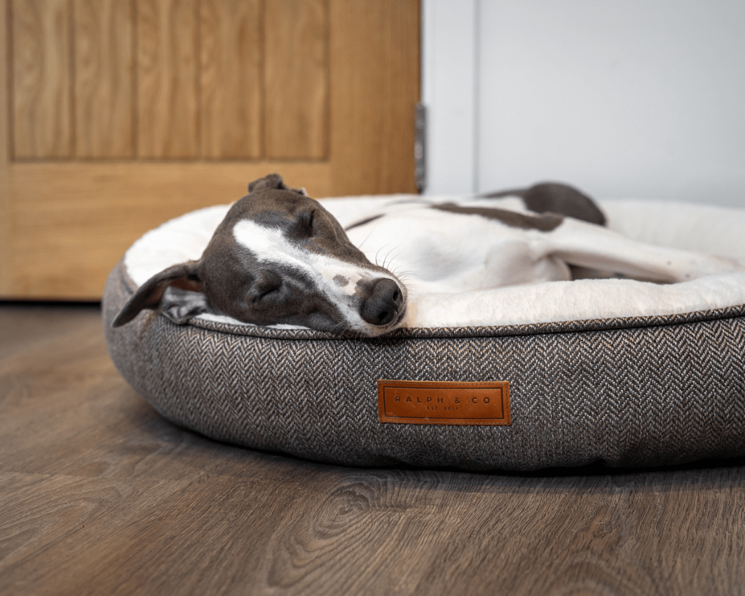 THE LINCOLN | LUXURY TWEED CALMING DONUT DOG BED
