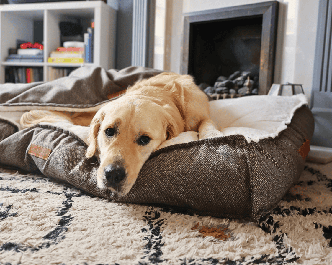 THE LINCOLN | LUXURY TWEED FLAT PILLOW DOG BED
