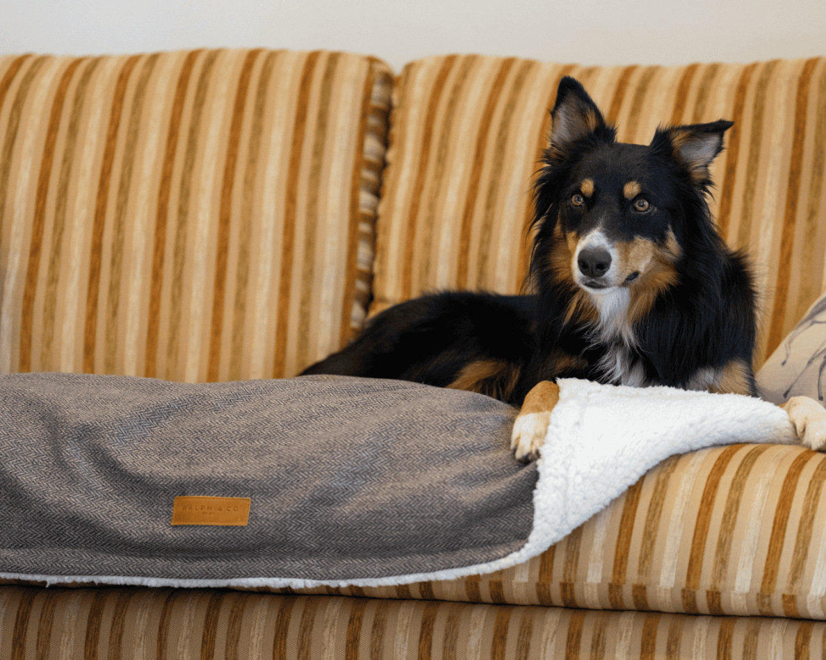 THE LINCOLN | LUXURY TWEED FLAT PILLOW DOG BED