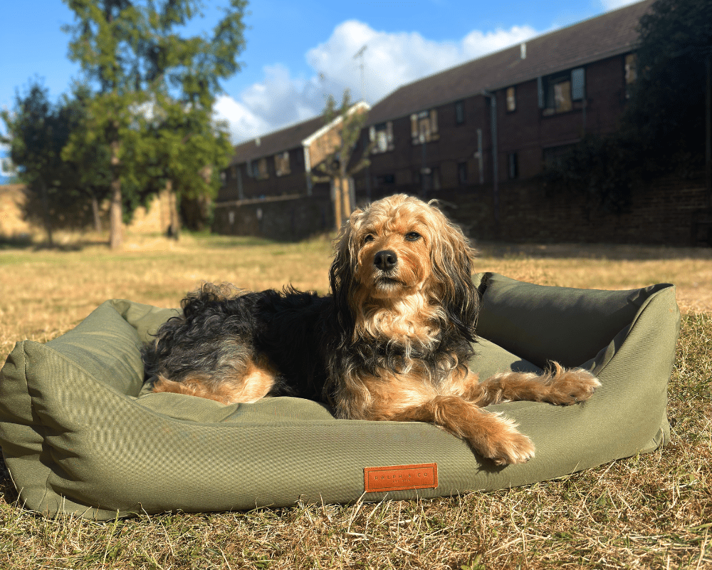 THE HENLEY | LUXURY WATERPROOF BOLSTER DOG BED