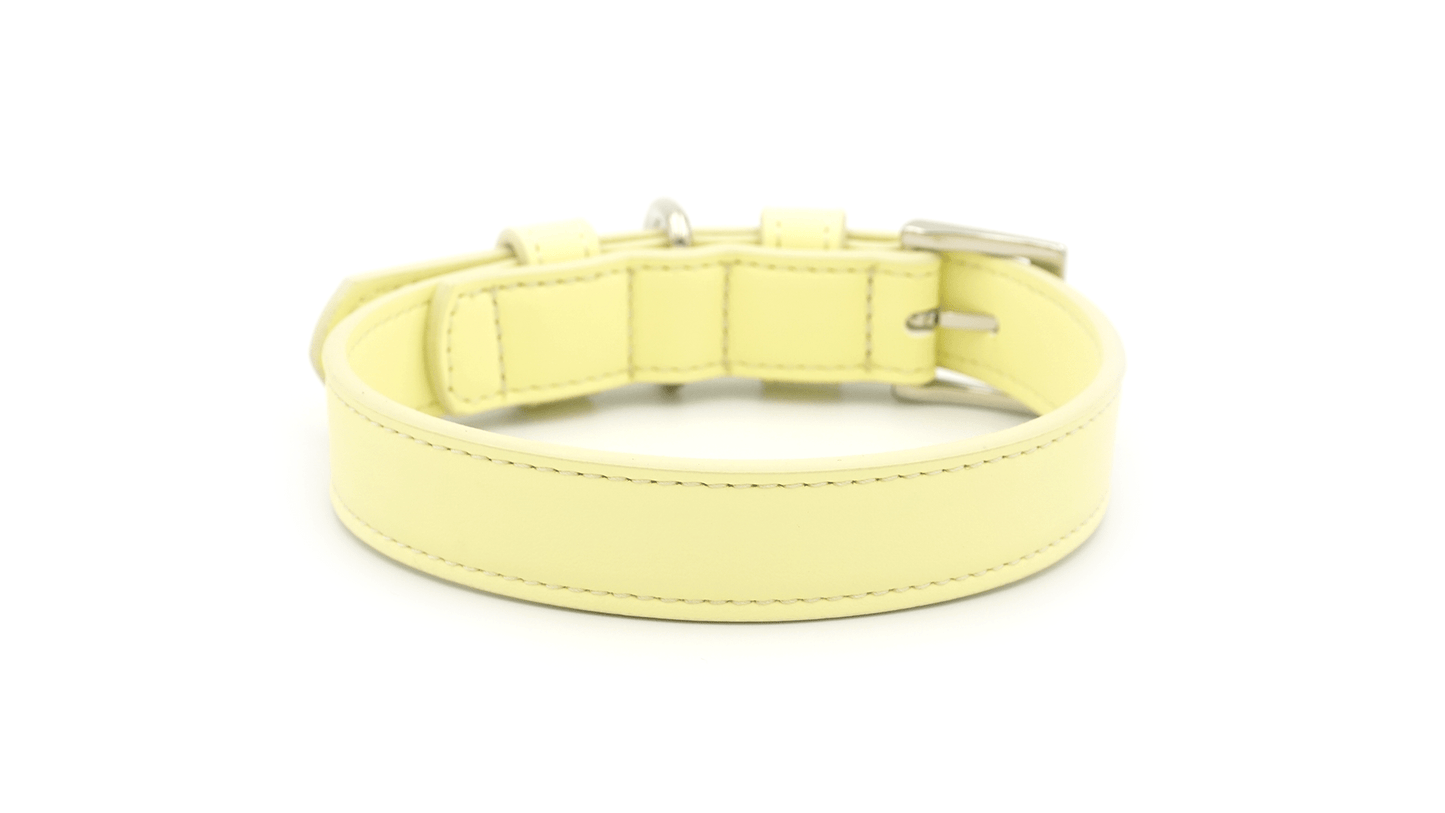 Yellow Leather Dog Collar